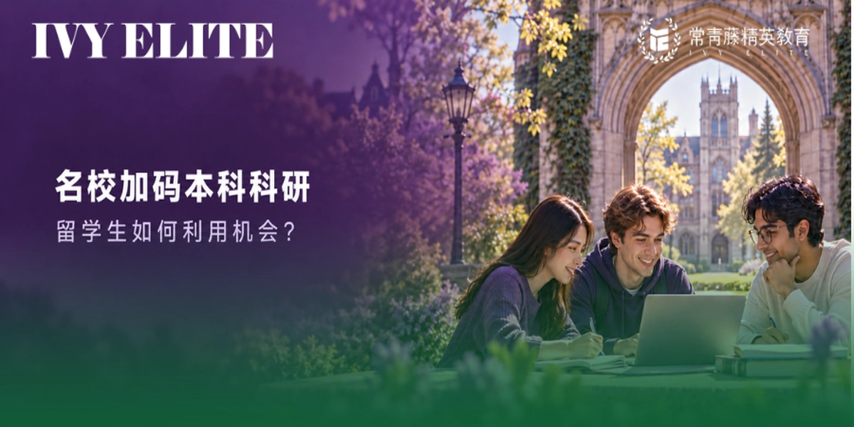 不读博士需要科研吗？西北拟扩大本科科研参与规模50%！